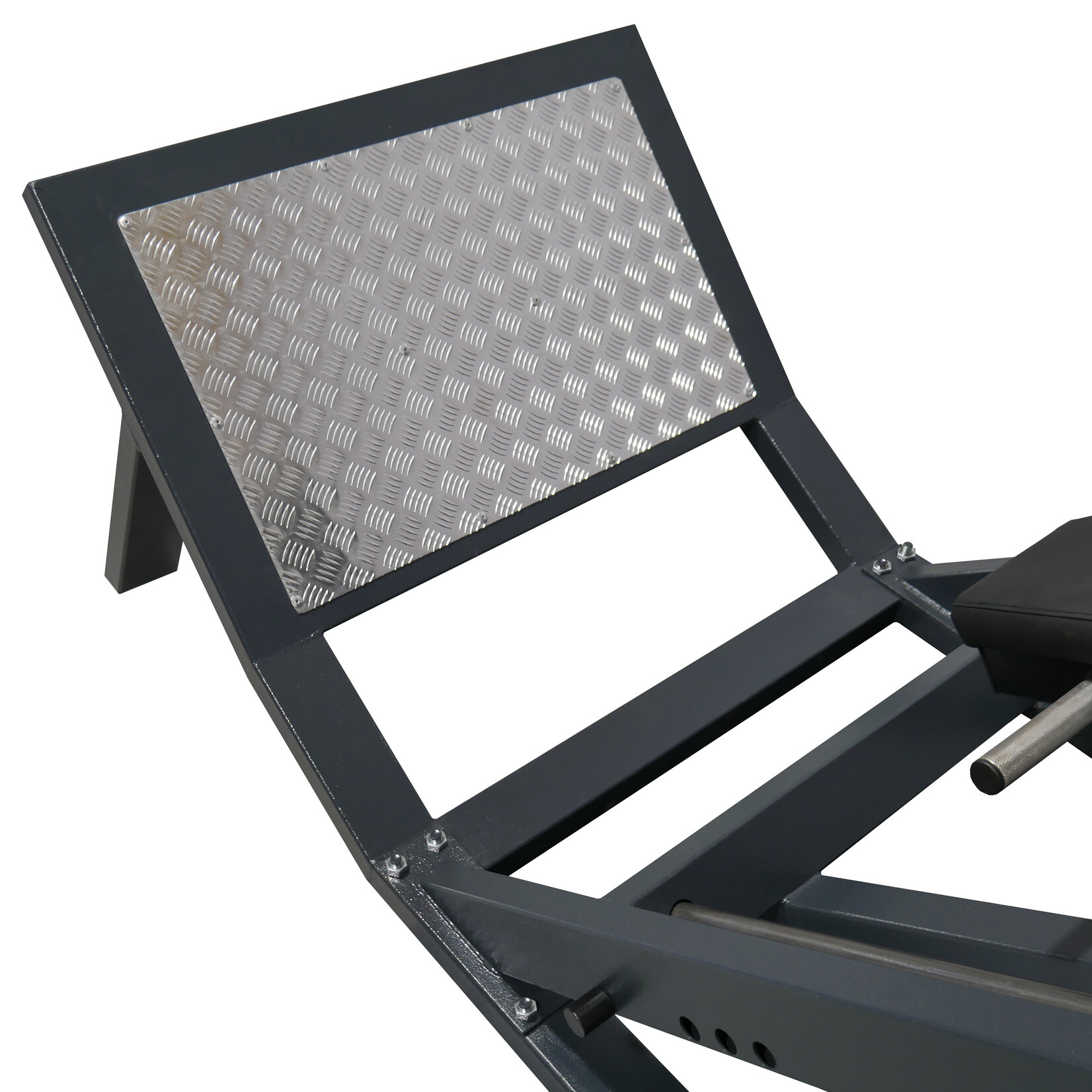 Hack-Squat Machine (1D)