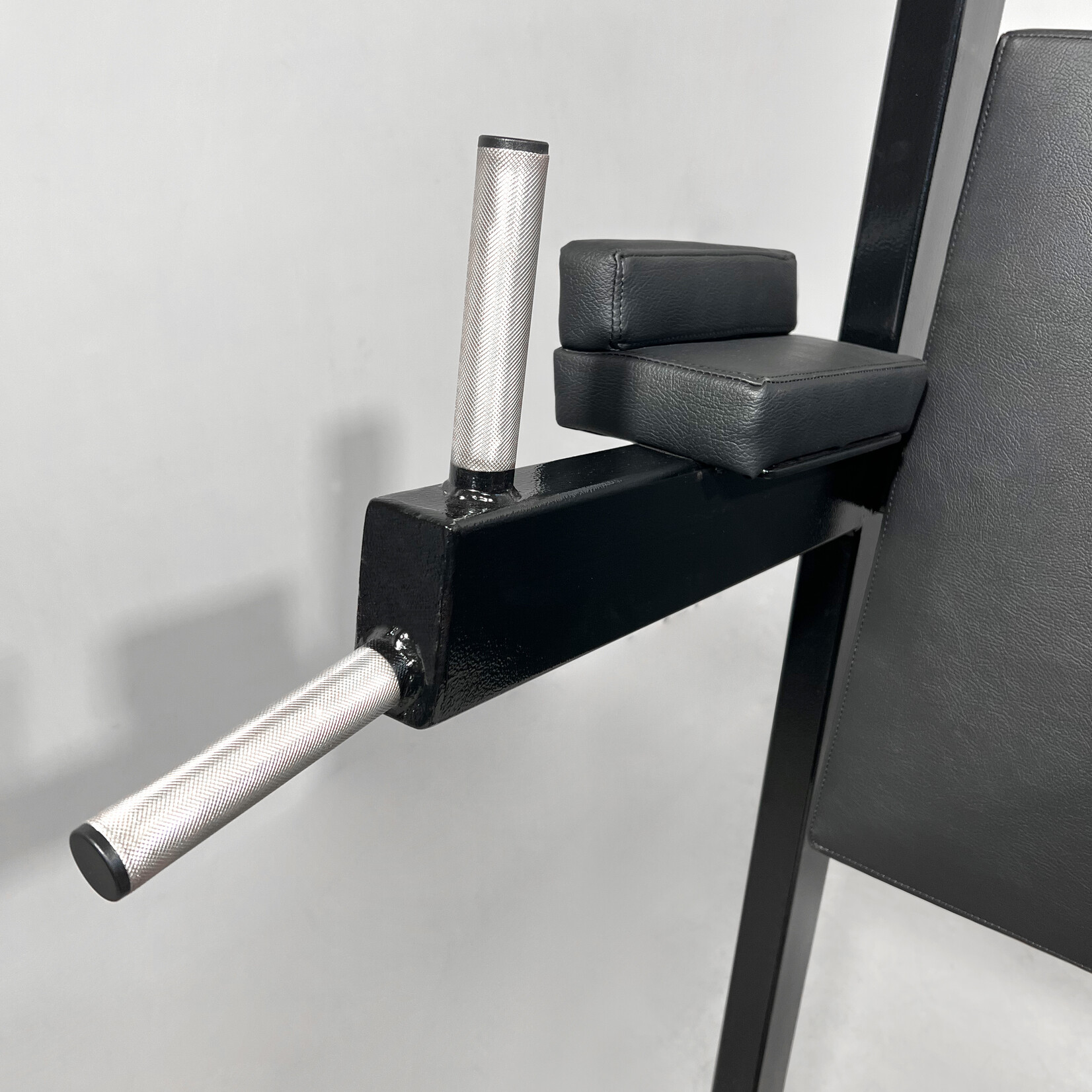 Beinheber mit Dips Barren (5KX)