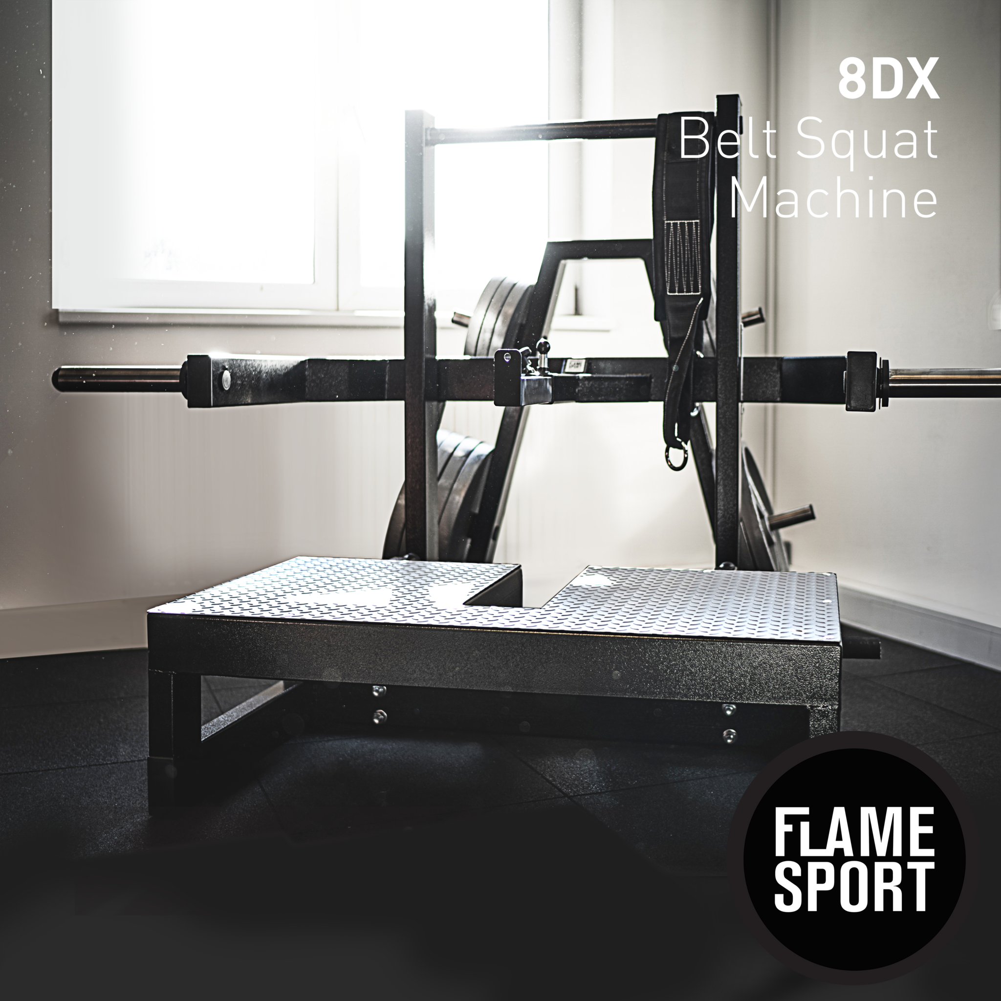 Belt Squat Maschine (8DX)