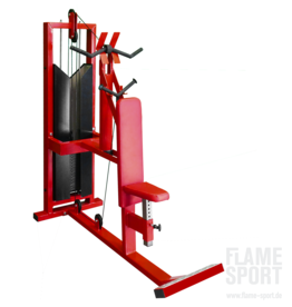 Triceps Pushdown machine (3MX)