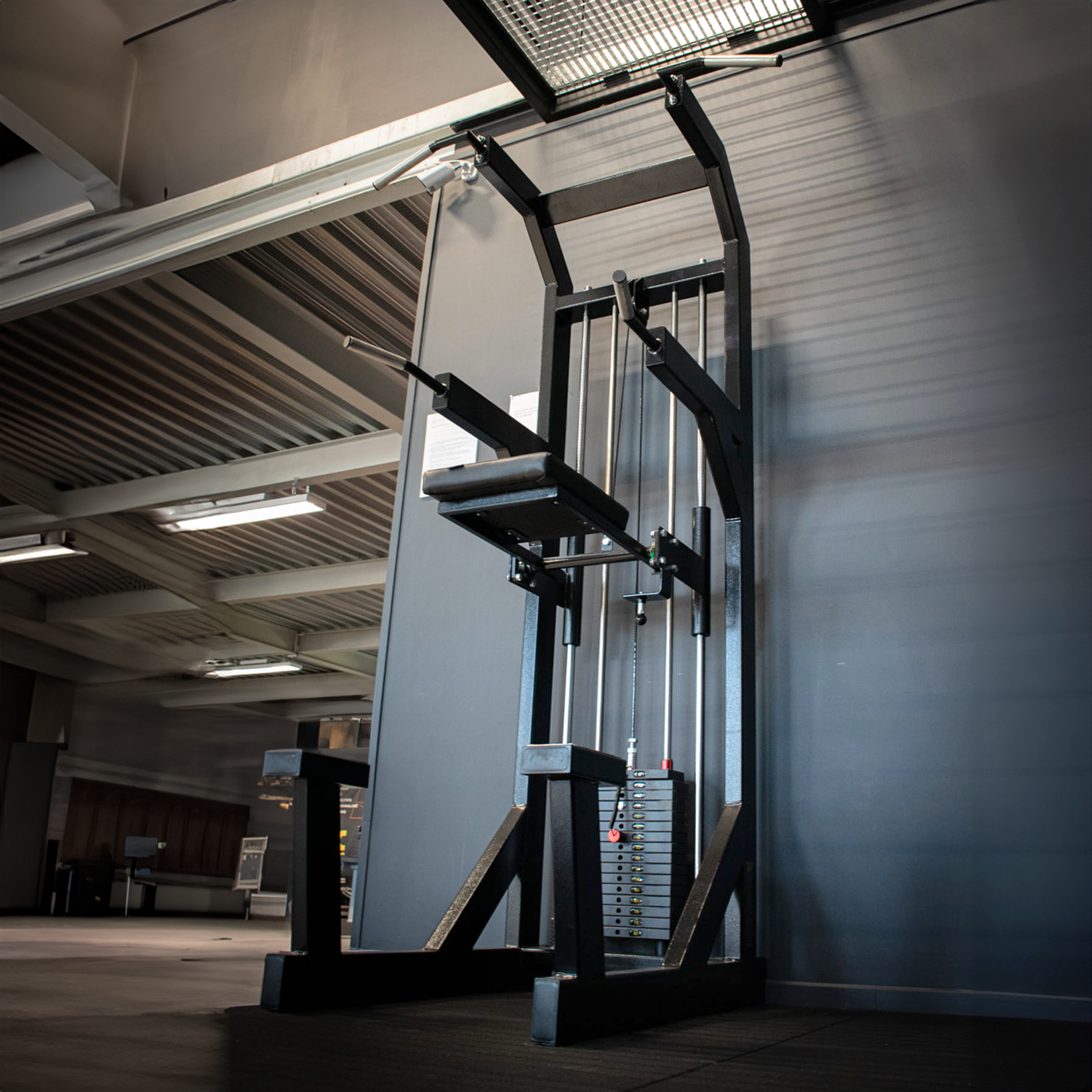 Dips / Pull up / Chin up Machine (3KP)