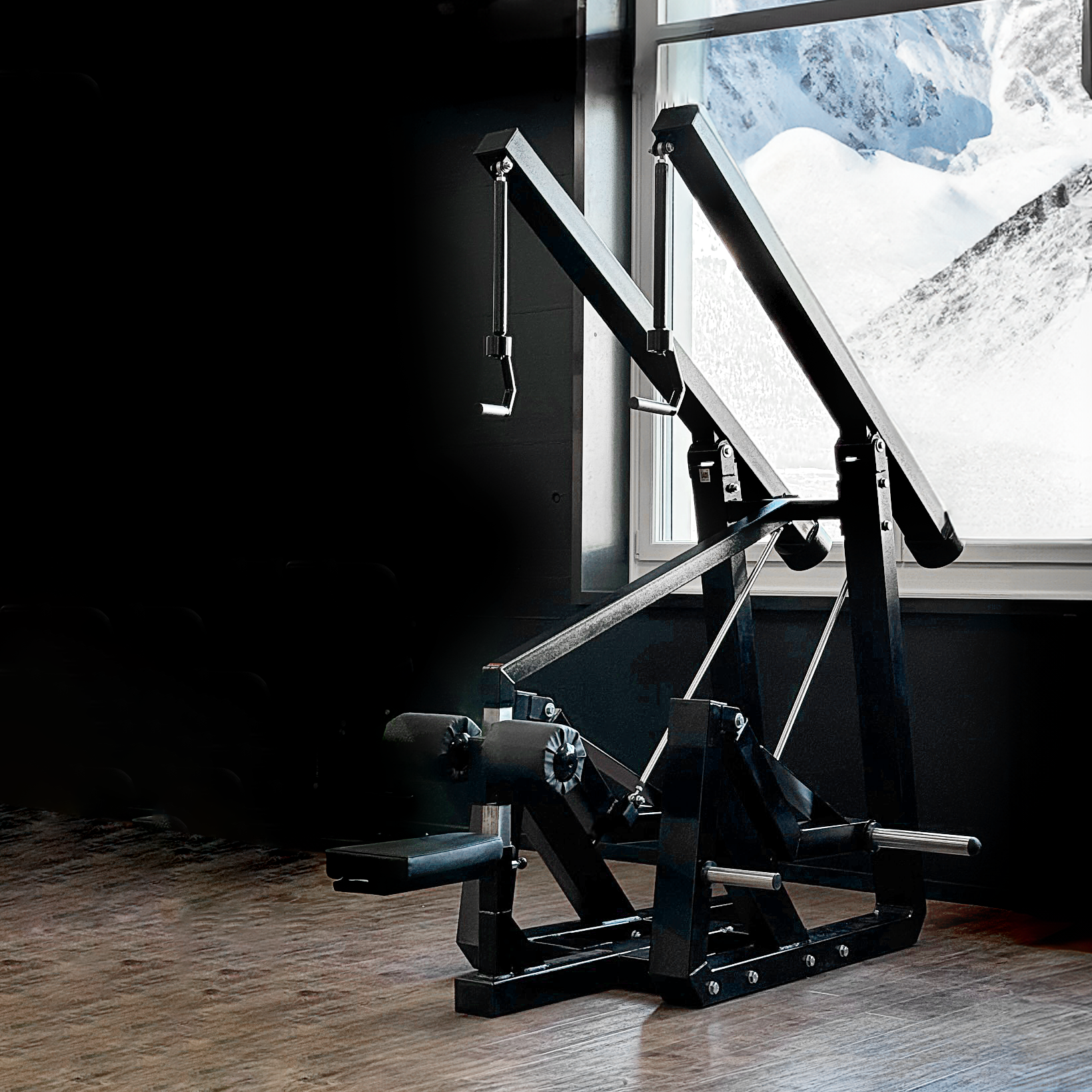 Lat Pulldown / Latzugmaschine (8LXX) DUAL