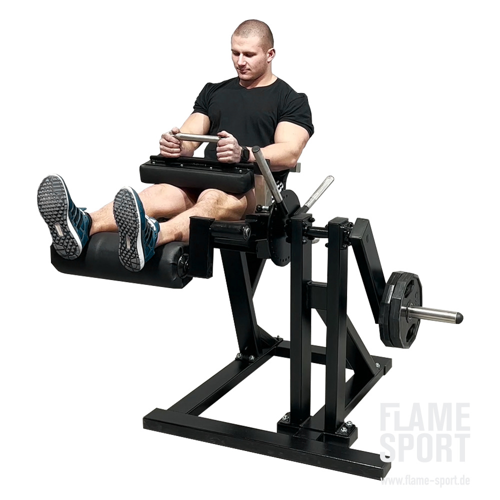 Leg Extension & Leg Curl Machine (8MXXX) - IN STOCK