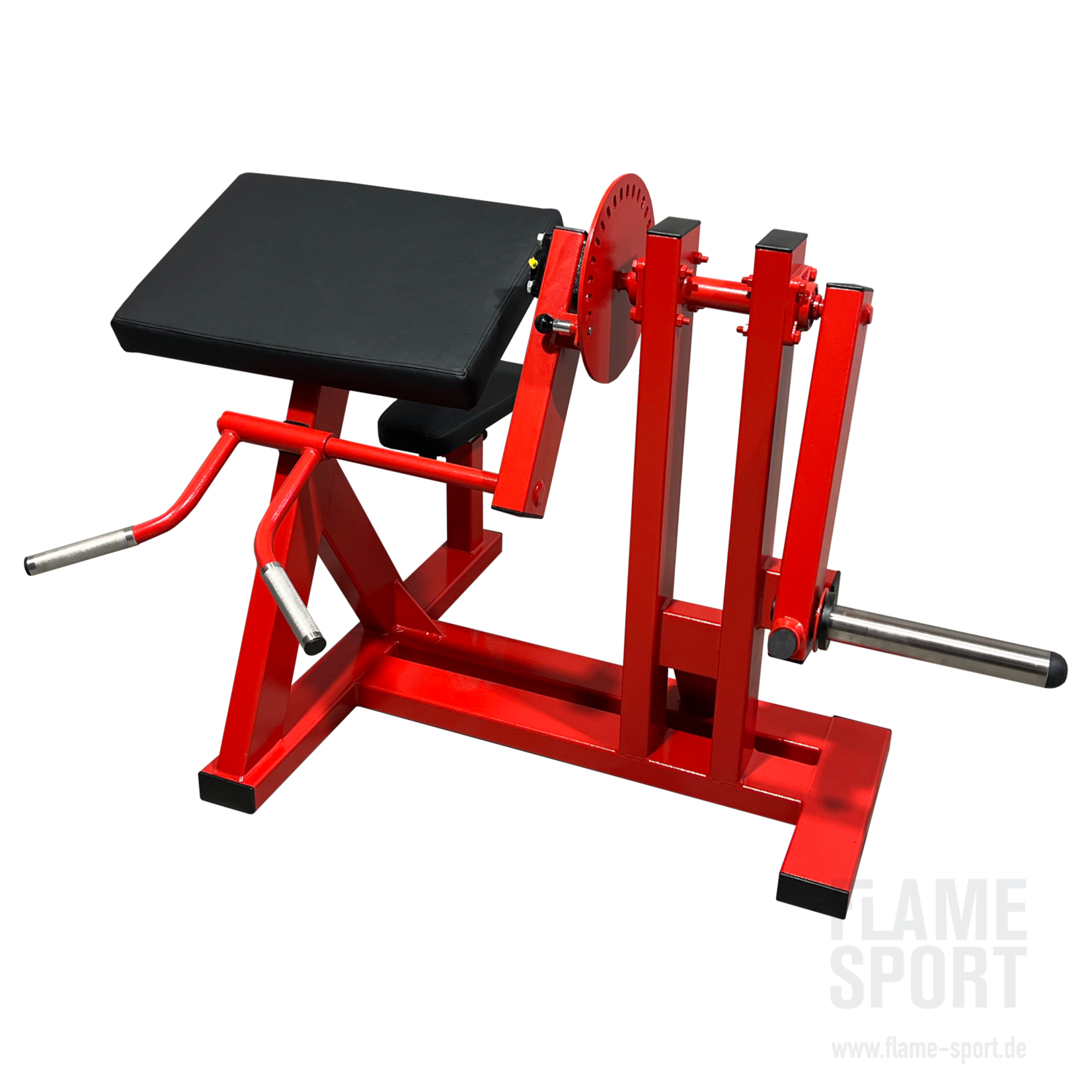 2 in 1: Scott Curls & Triceps Machine (3F)