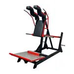 Front and Back Squat Machine (1R)