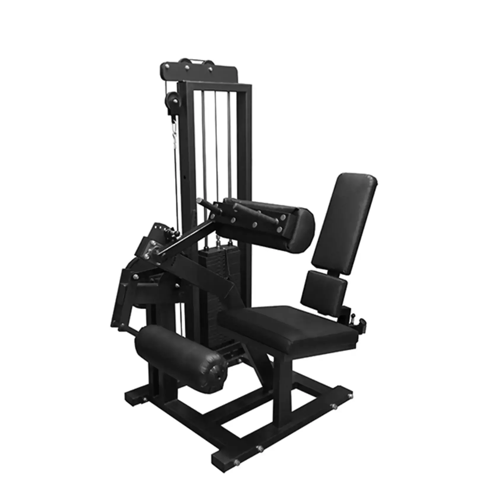 Leg Curl Machine (8MXX3)