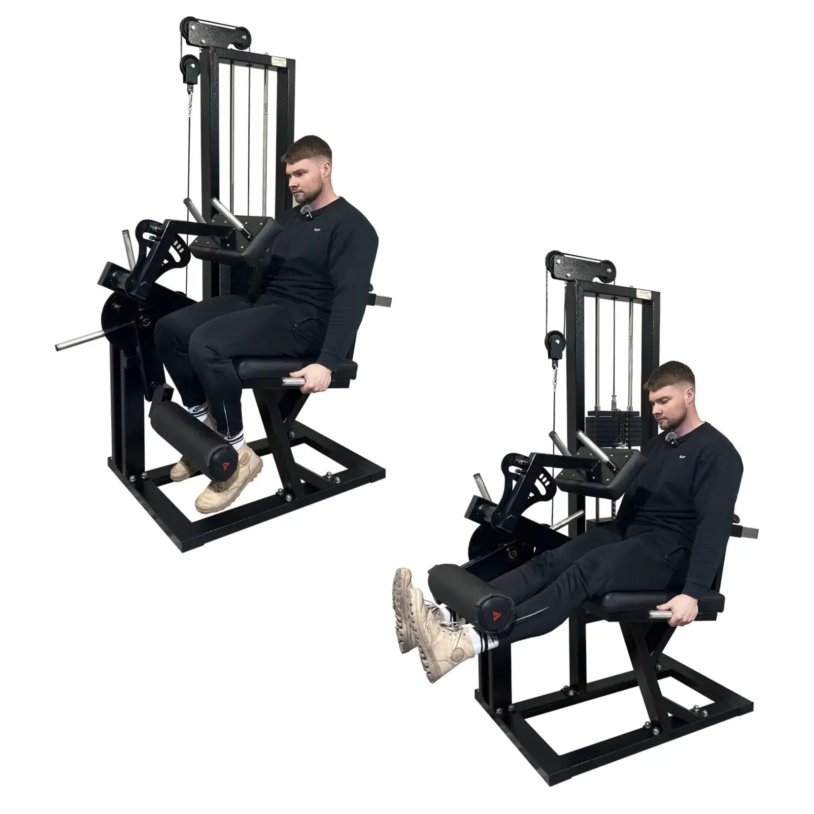 Leg Extension & Leg Curl Machine (8MXX2)
