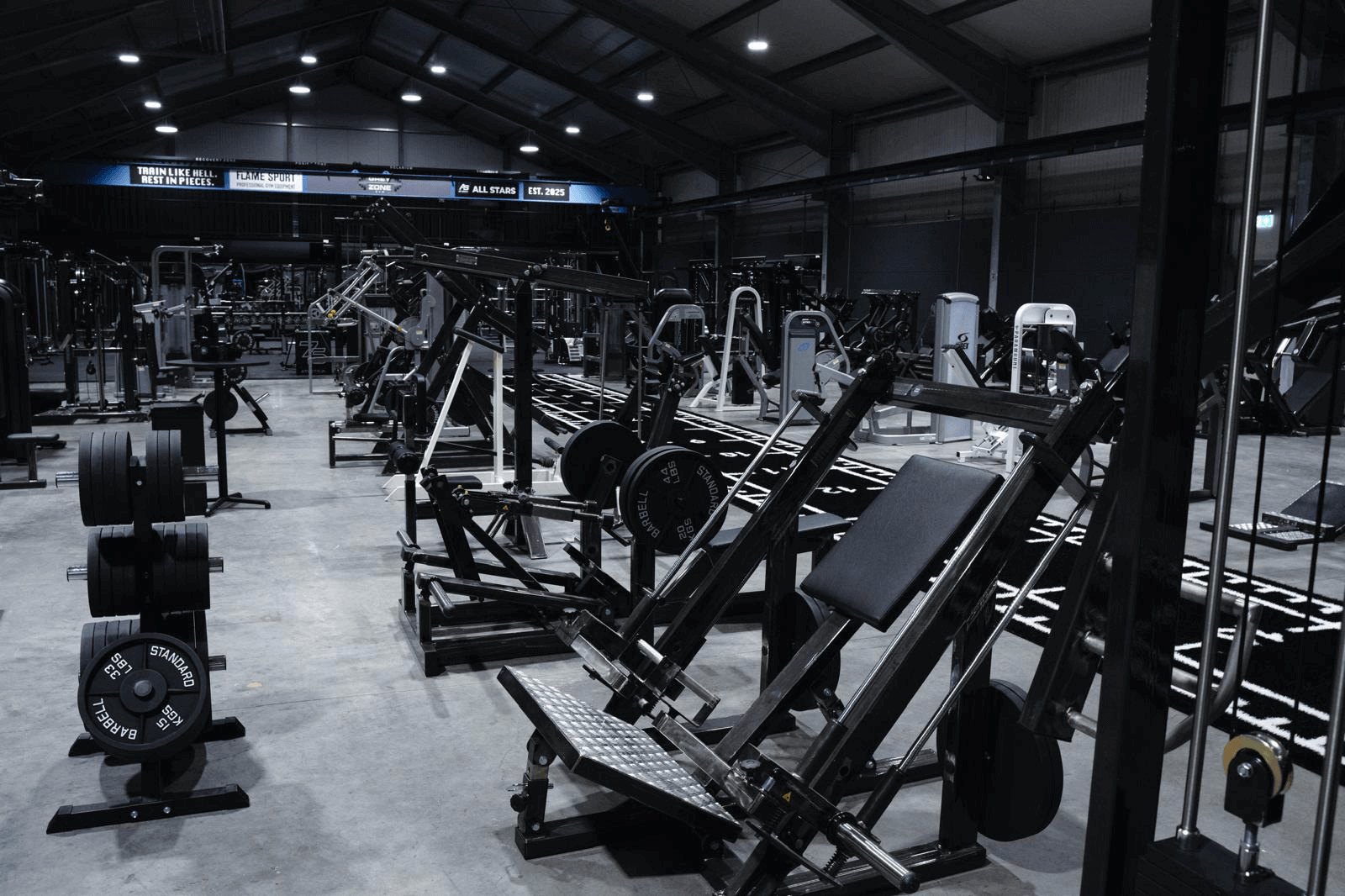 Grey Zone Gym – Flame Sport Equipment 1