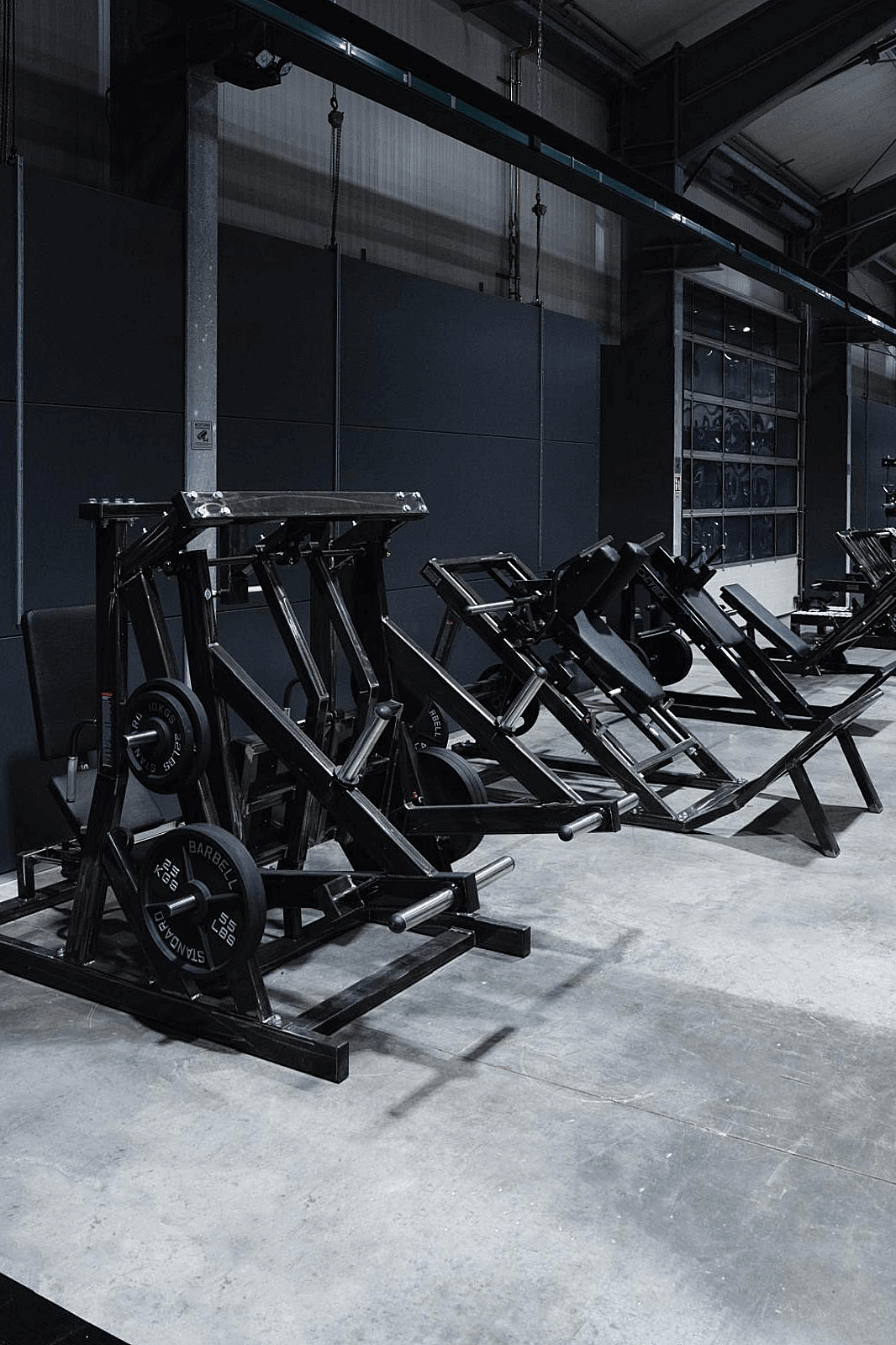 Grey Zone Gym – Equipment detail view
