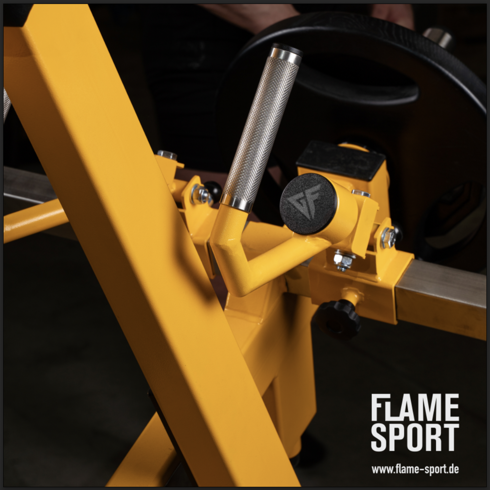 Rudergerät / T-Bar Row Machine (1LXX)