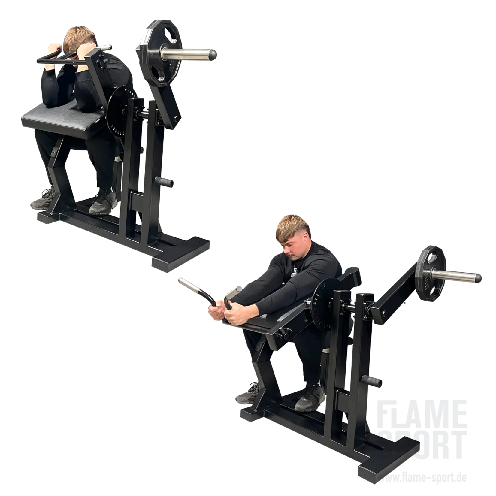 2 in 1: Scott Curls & Triceps Machine (3F)