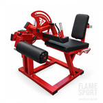 Leg Extension & Leg Curl Machine (8MXXX)