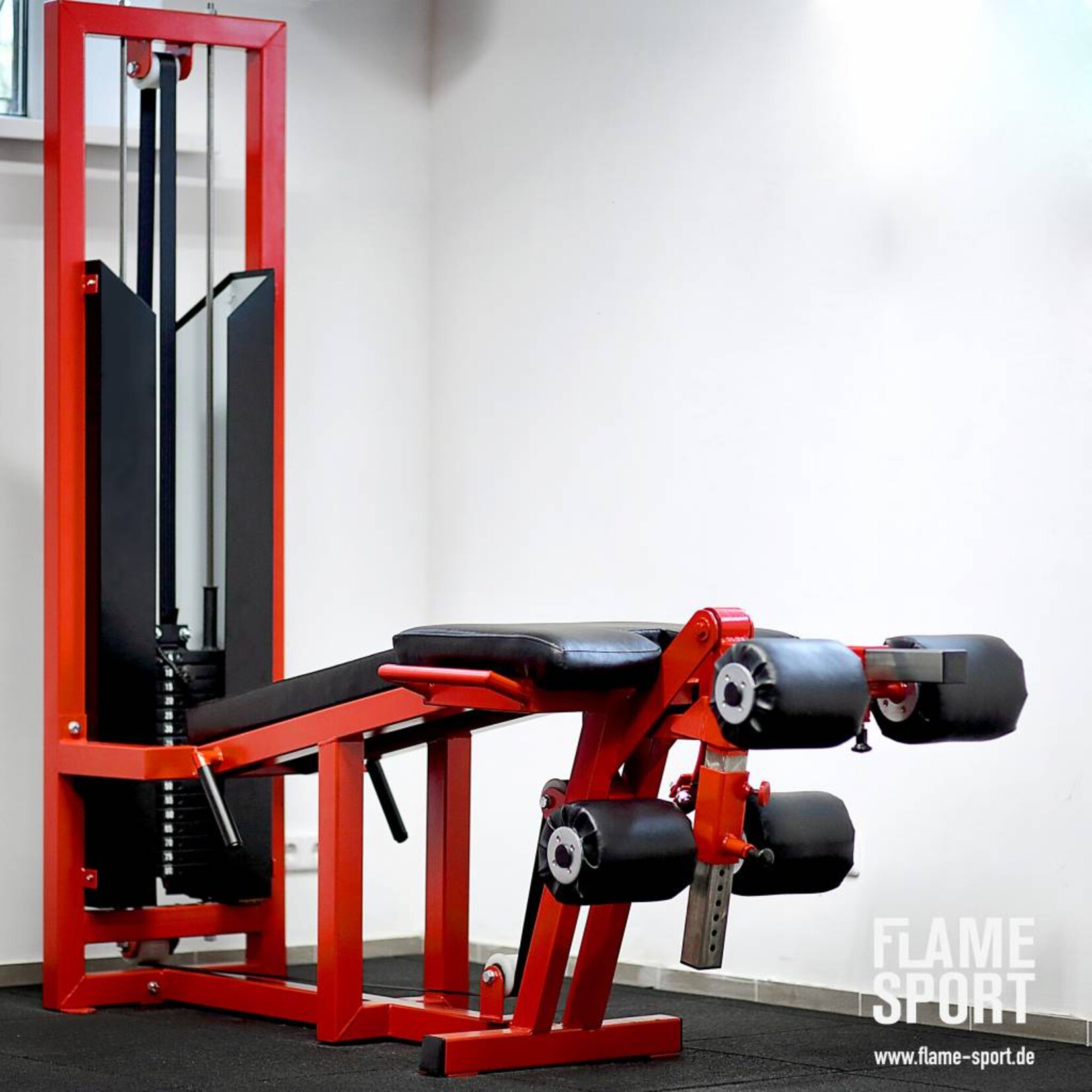 Leg Extension & Curl Machine (8M)
