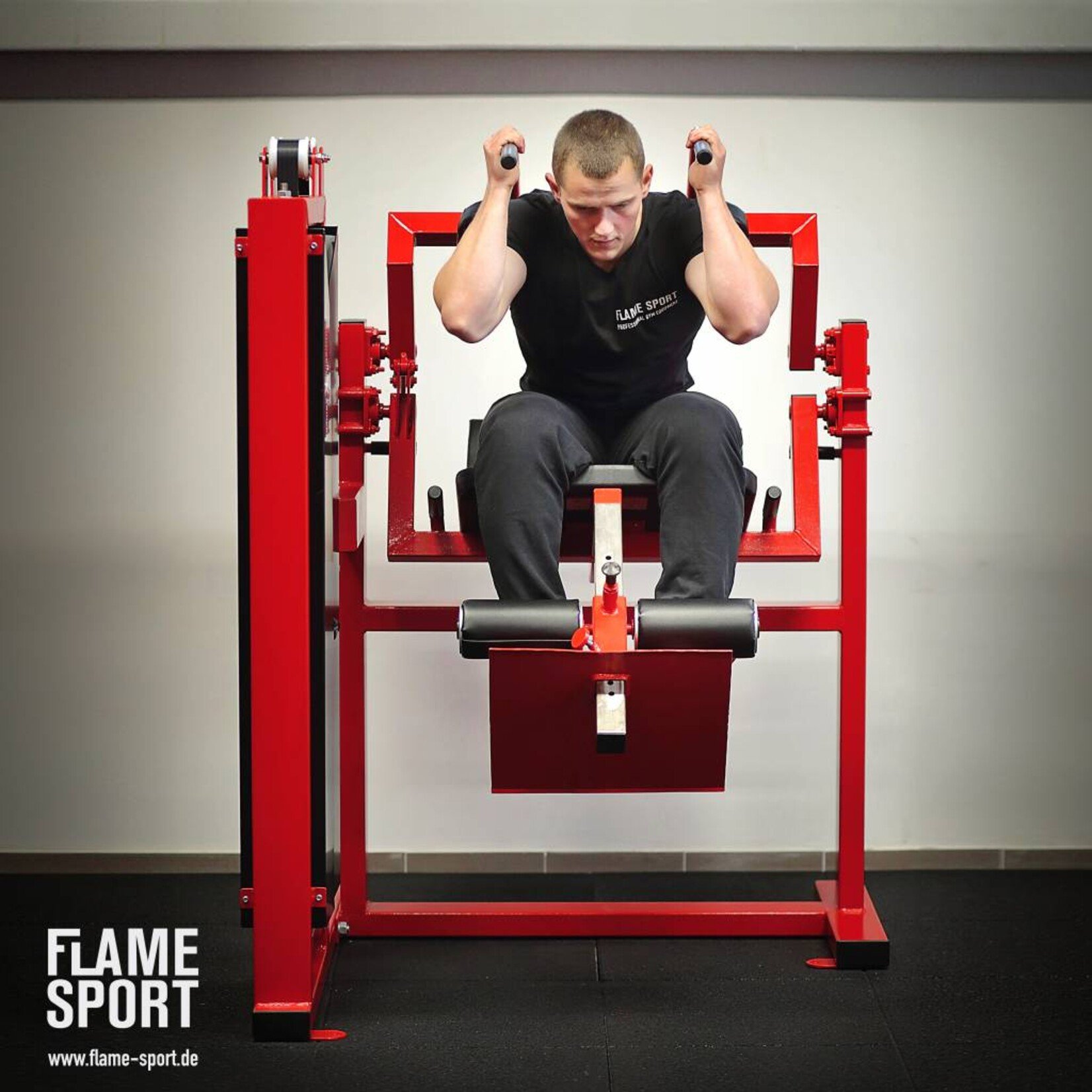 Abdominal Crunch Machine (2E)