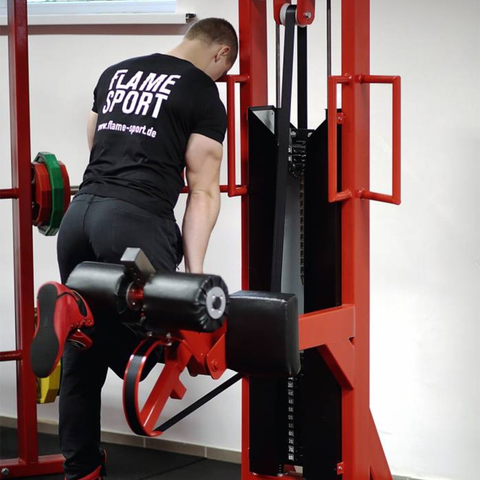 Standing Leg Curl (6MX)
