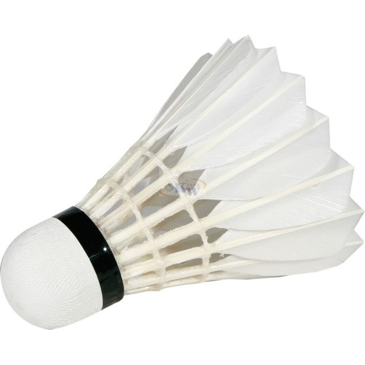 TUBE VOLANTS PLUMES BADMINTON VICTOR CARBONSOINC N°1