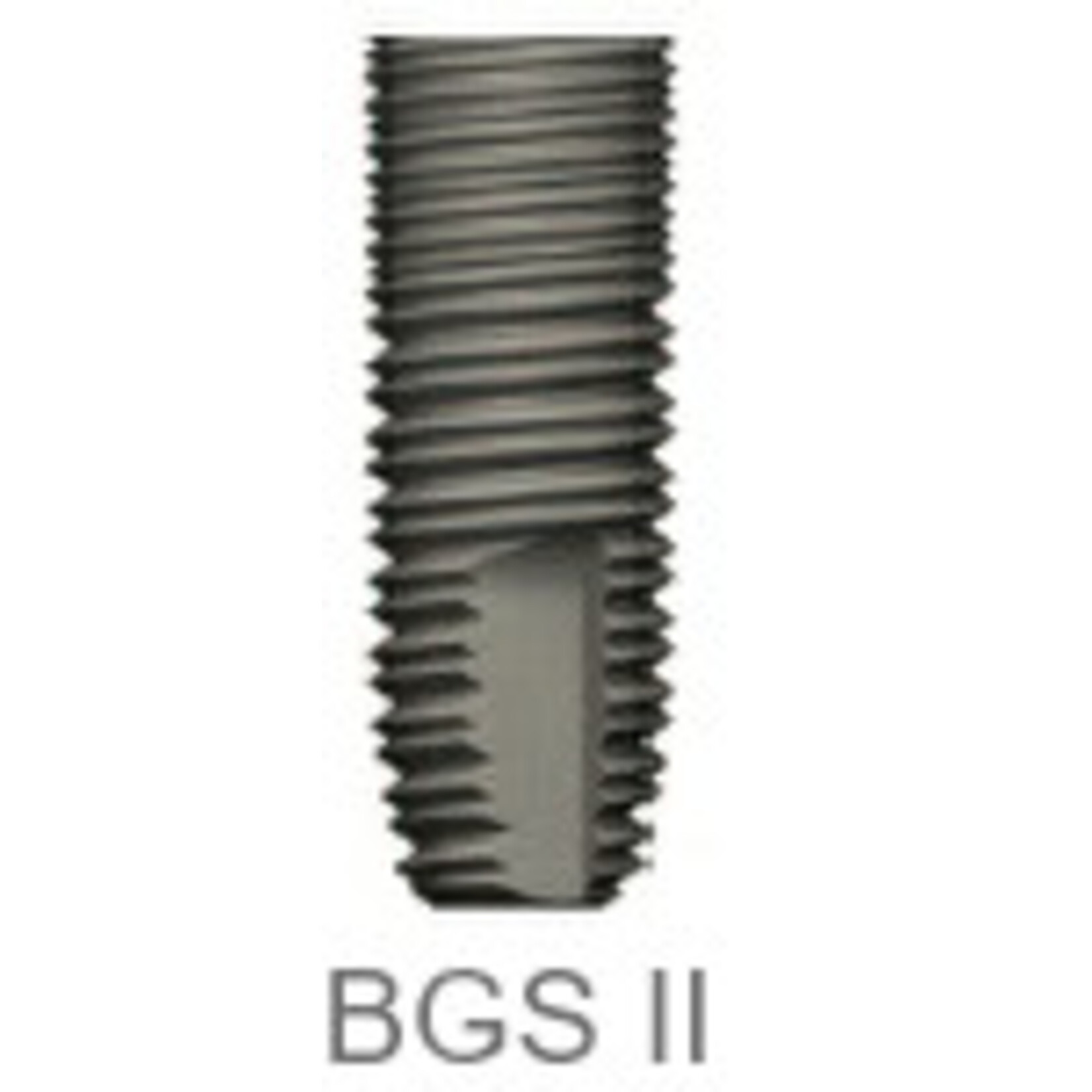 OSSTEM Osstem GS Implantat