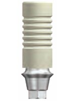 OSSTEM 