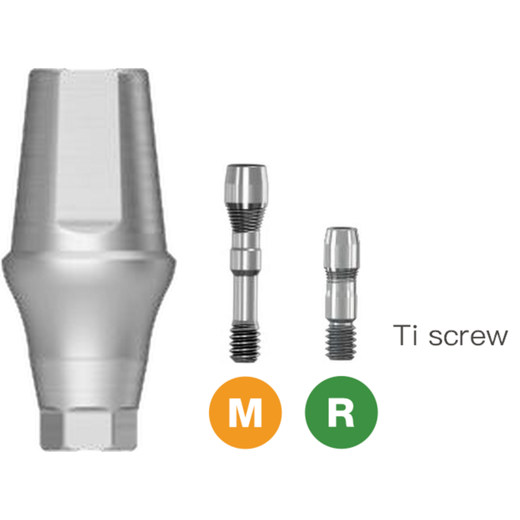 Bioconcept BV Transfer Abutment