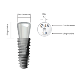 NeoBiotech Healing Abutment