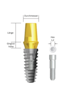 NeoBiotech Cemented Abutment