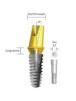 NeoBiotech Abgewinkeltes Abutment