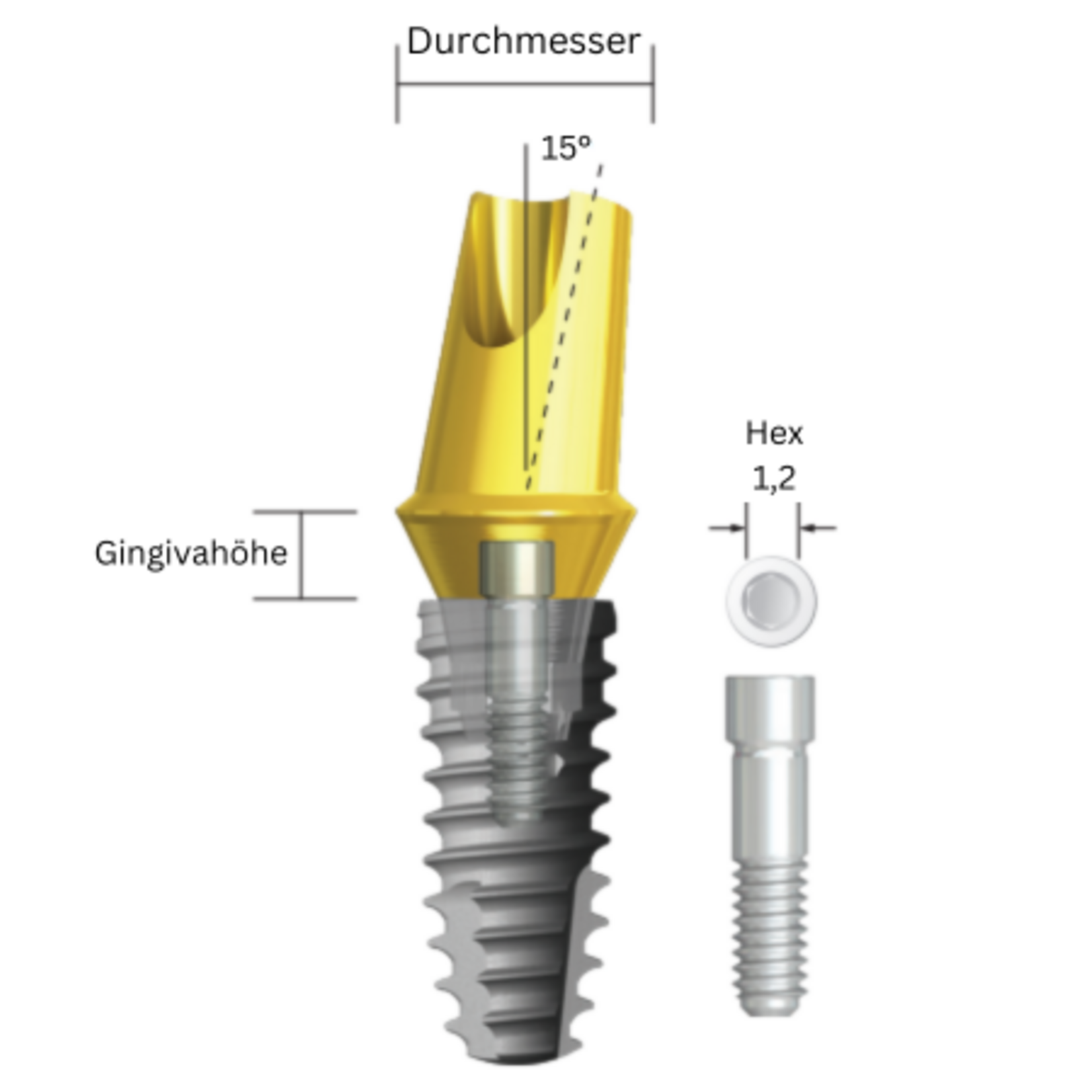 NeoBiotech Angled Abutment Neobiotech