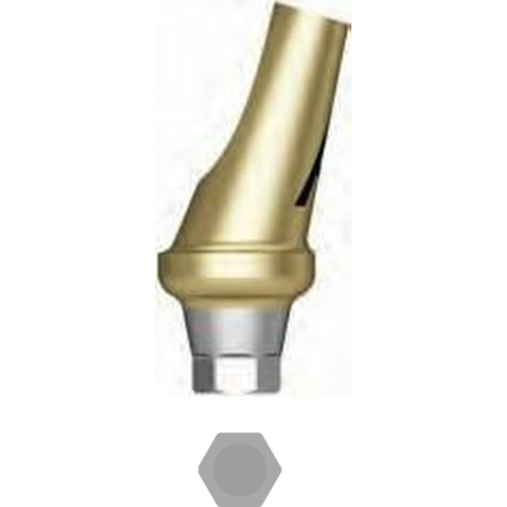 Bioconcept Abgewinkeltes Abutment