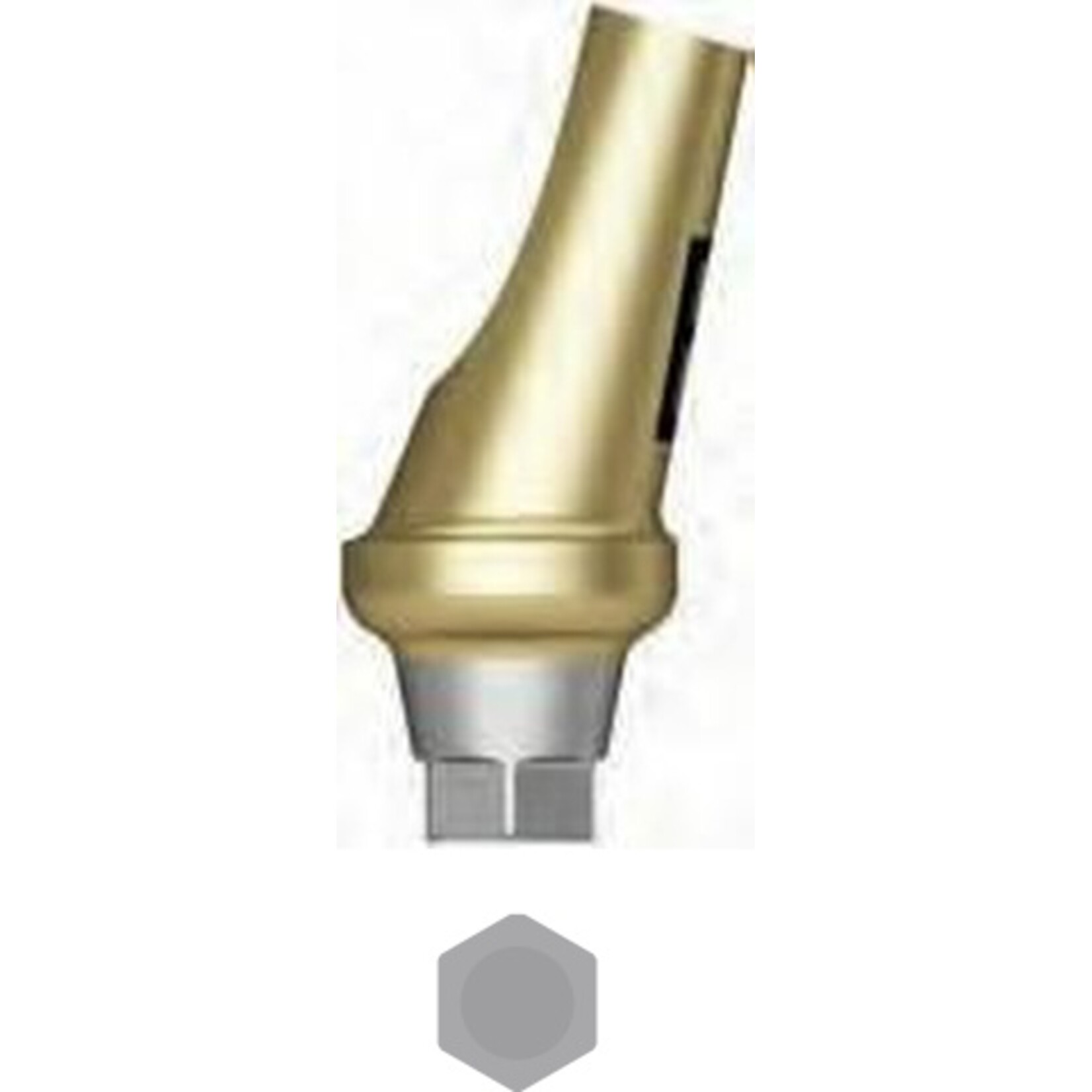Bioconcept Abgewinkeltes Abutment