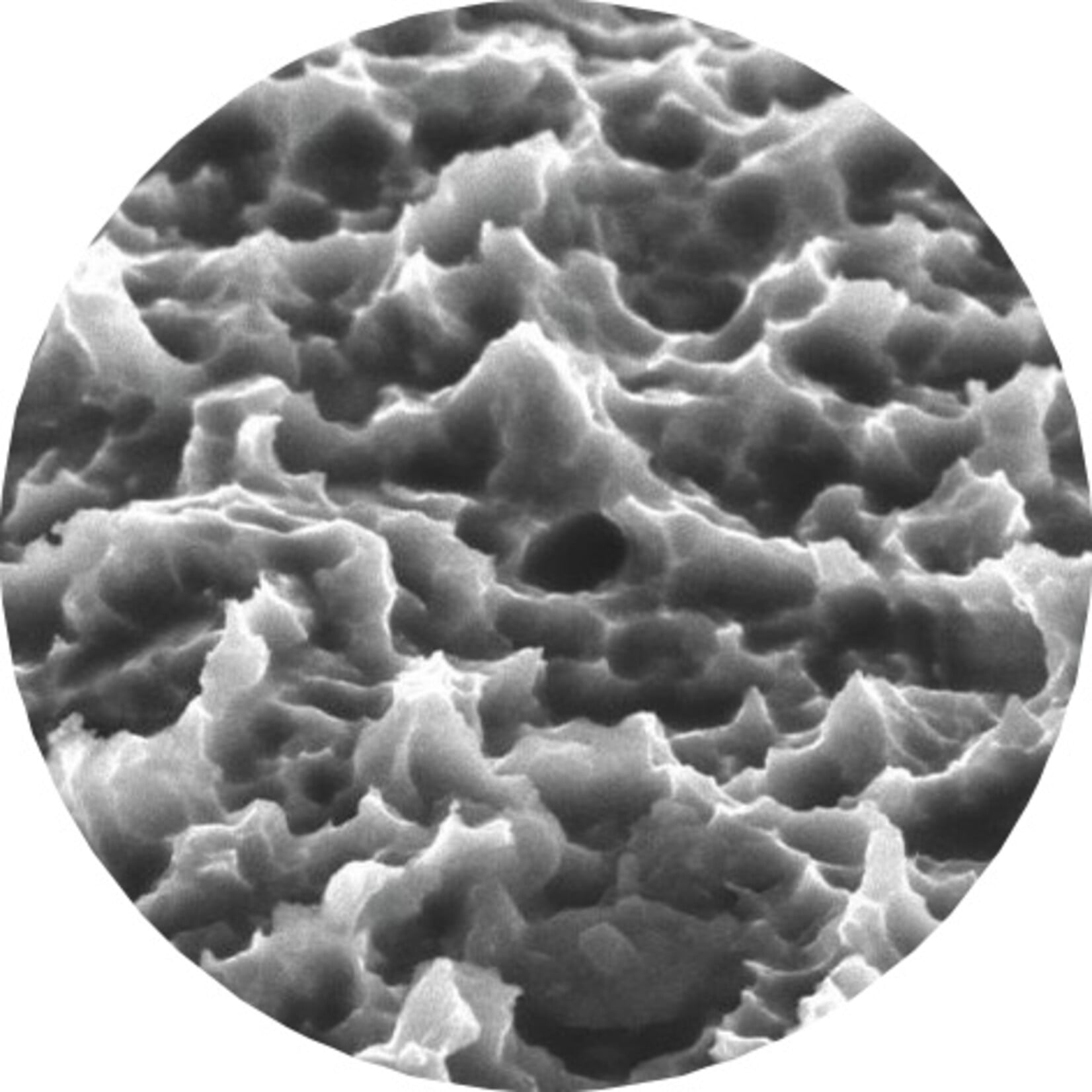 Bioconcept Bioconcept BV Tapered