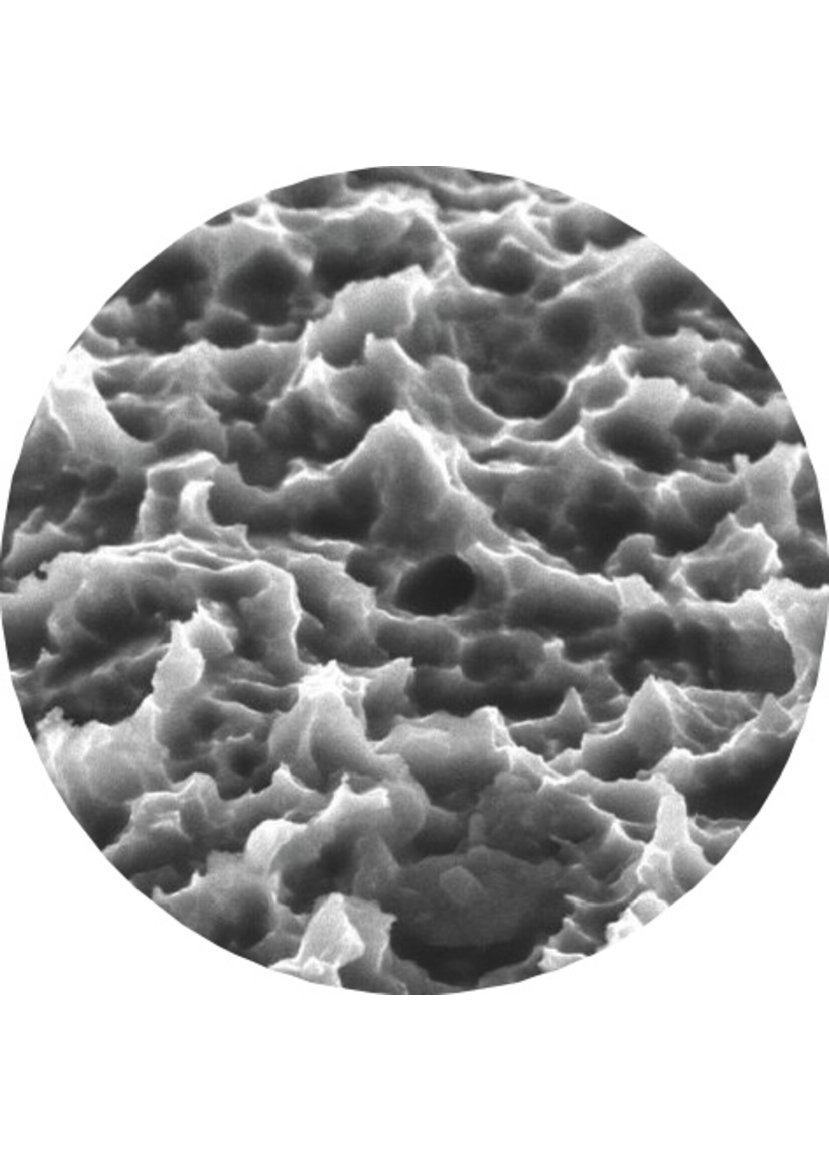 Bioconcept Bioconcept BV Tapered