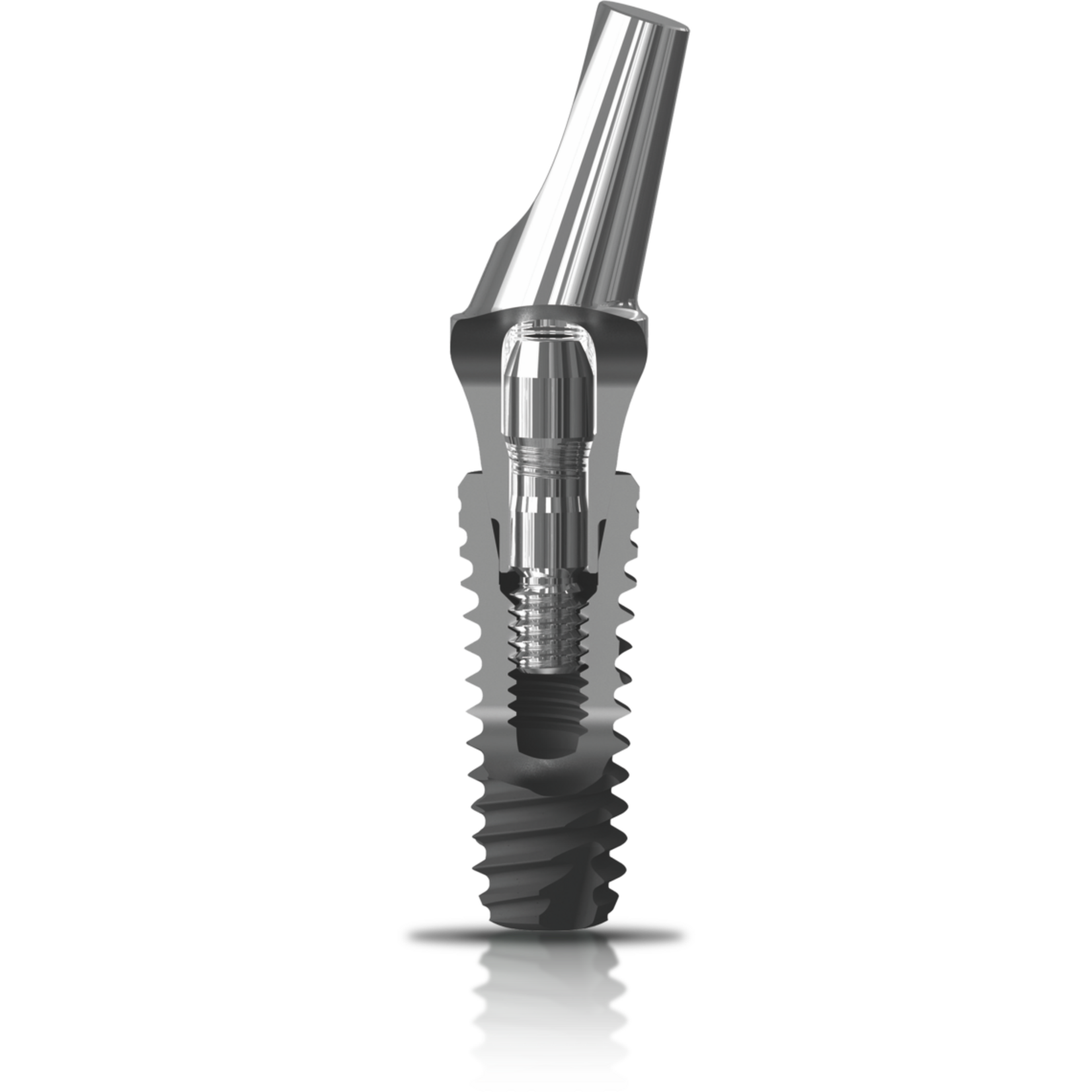 Bioconcept Bioconcept BV Tapered