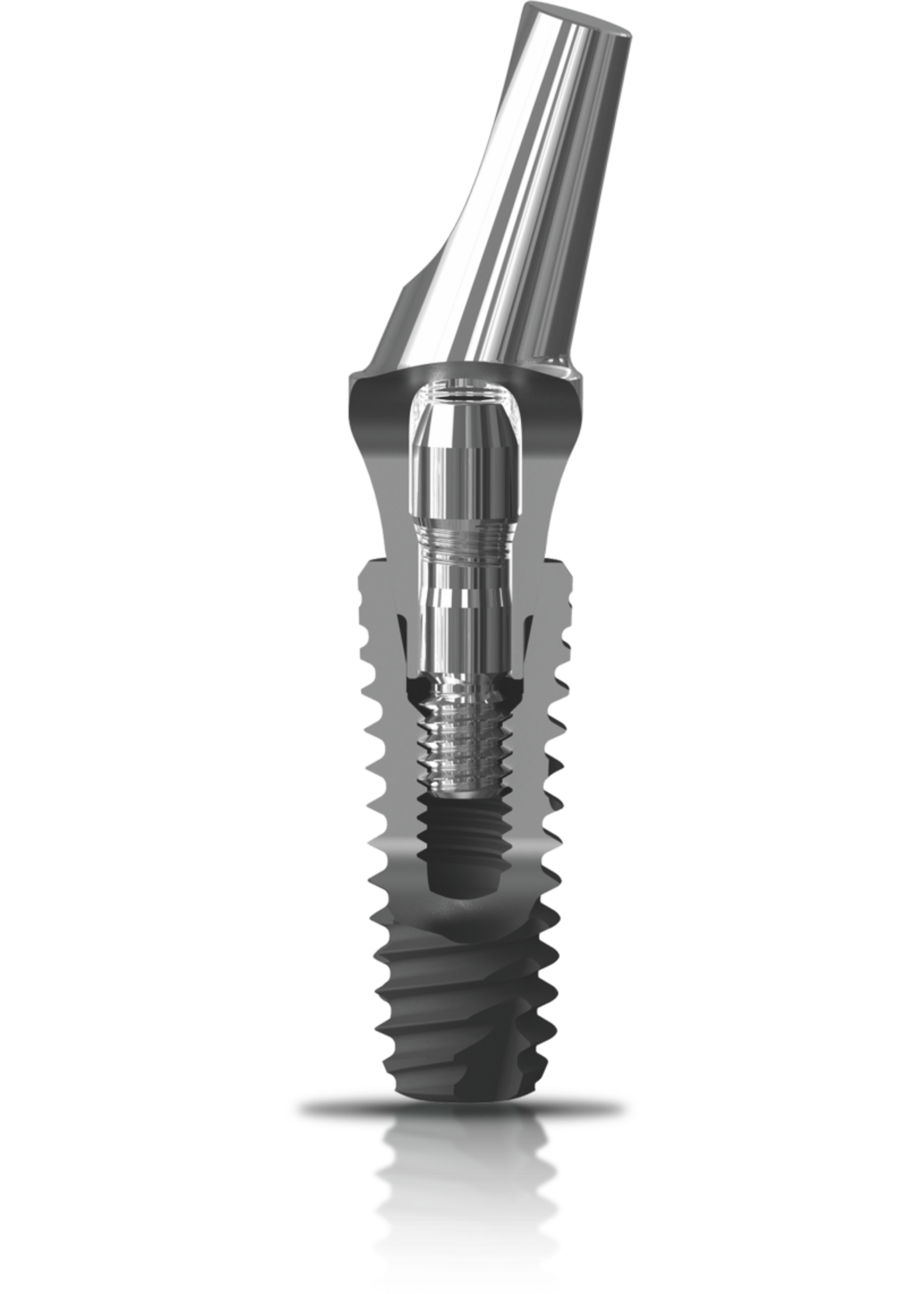 Bioconcept Bioconcept BV Tapered