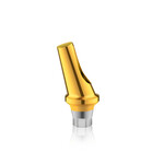 Bioconcept Abgewinkeltes Abutment
