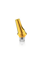 Bioconcept Angled Abutment
