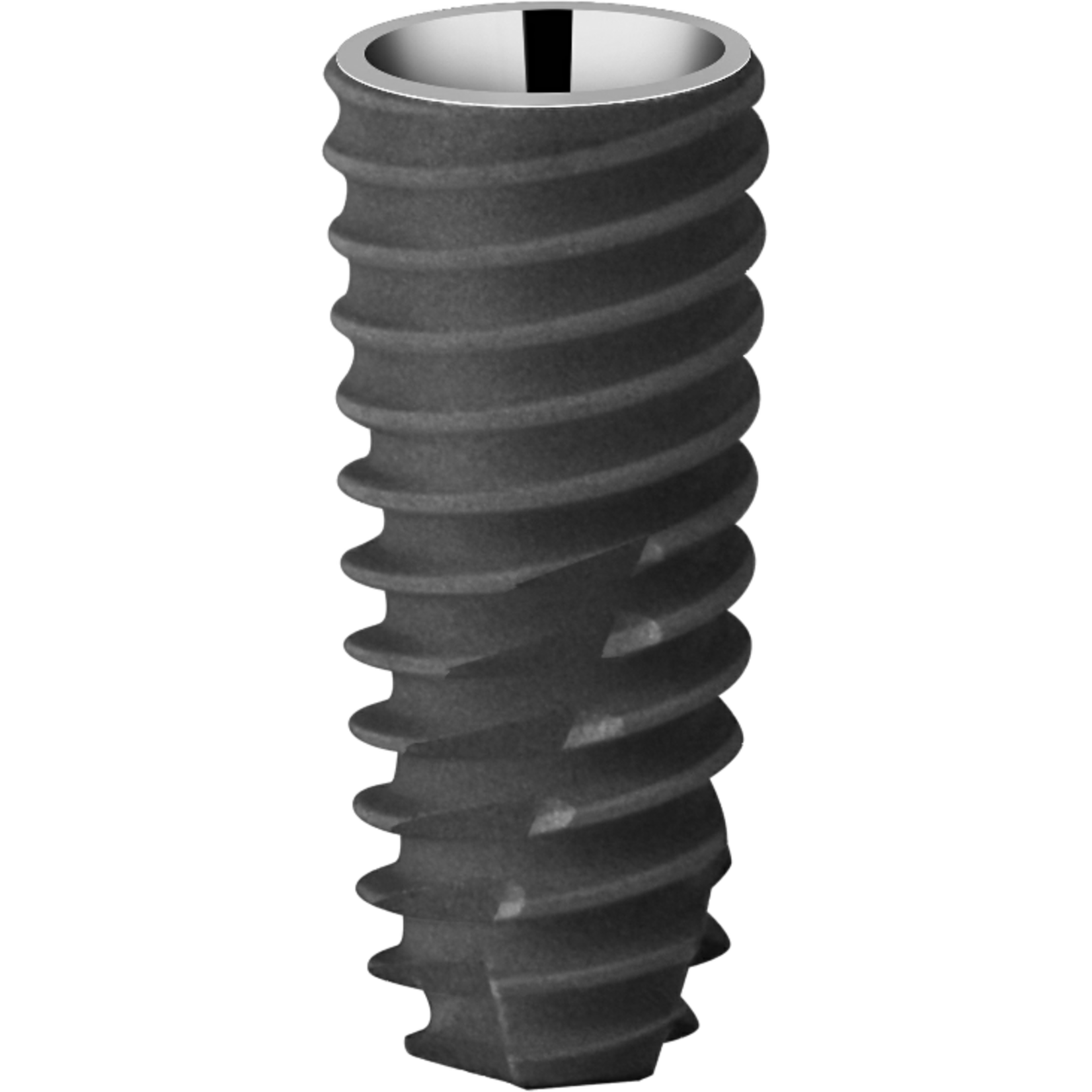 Bioconcept Bioconcept BV Tapered