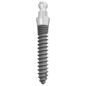 OSSTEM MS Denture