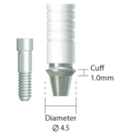 NeoBiotech NeoBiotech CCM UCLA Abutment