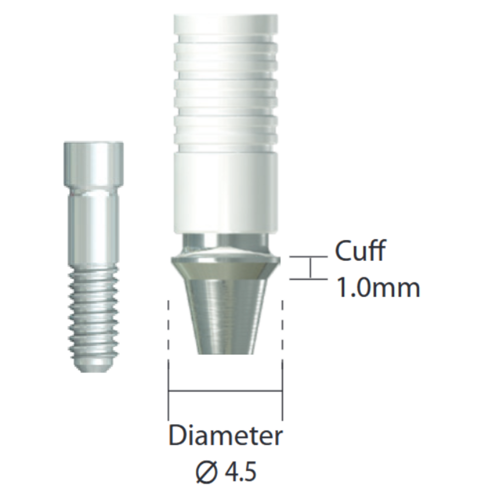 NeoBiotech NeoBiotech CCM UCLA Abutment