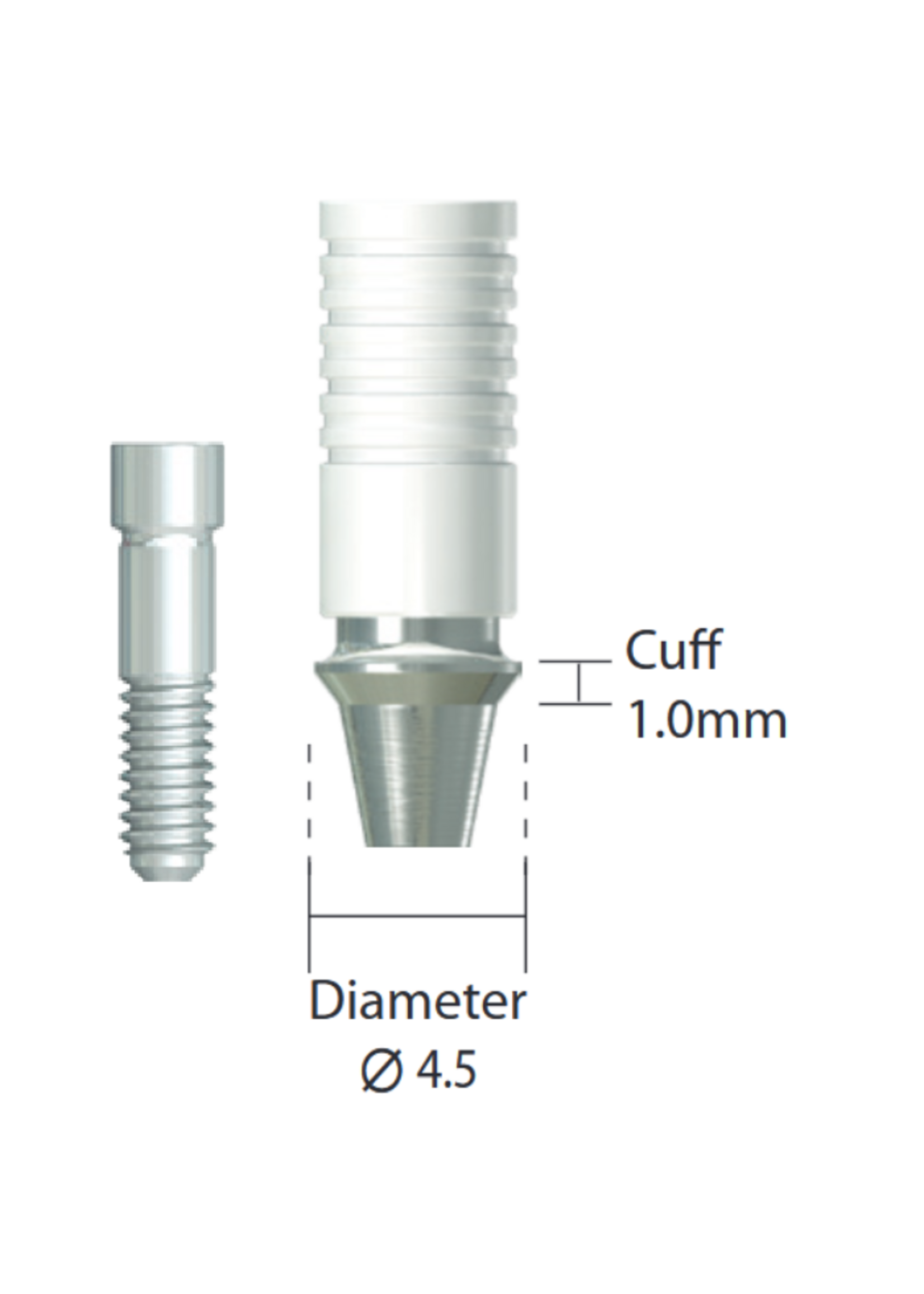 NeoBiotech NeoBiotech CCM UCLA Abutment