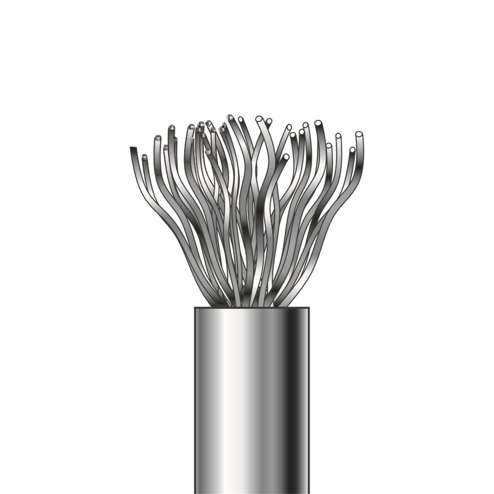 NiTi Brush