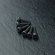 Cap Screw M2x8mm (6)