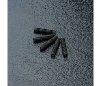 MST Set Screw M2x10mm (5)