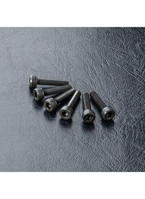 MST Cap Screw M3x14mm (6)