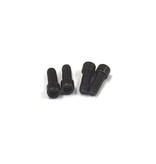 ReveD M2 x 5mm Cap Screw (4pcs)