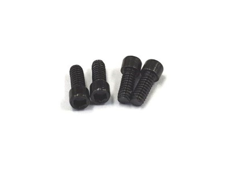 ReveD M2 x 5mm Cap Screw (4pcs)