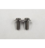 ReveD SPM Titanium Motor Screw (2pcs)