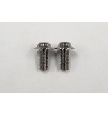 ReveD SPM Titanium Motor Screw (2pcs)