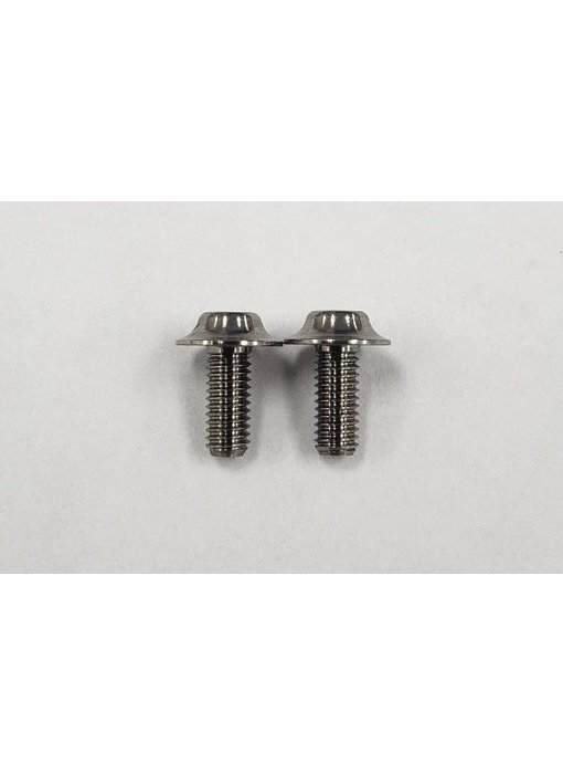 ReveD SPM Titanium Motor Screw (2)