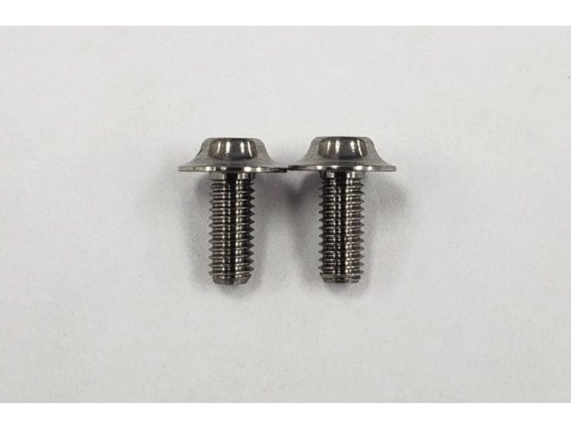 ReveD SPM Titanium Motor Screw (2pcs)